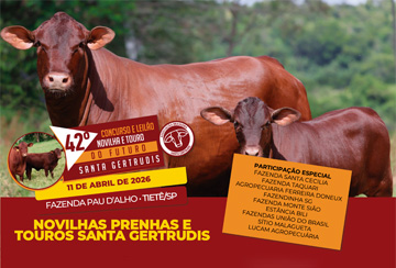 42º CONCURSO E LEILÃO NOVILHA DO FUTURO SANTA GERTRUDIS